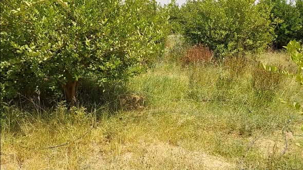 Land for sale — 4