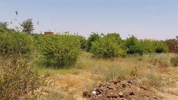 Land for sale — 2