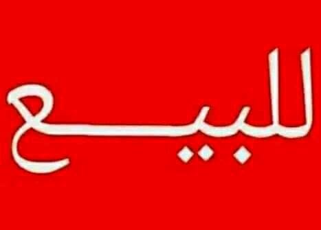 بيت للبيع - شندي