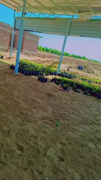 Land for sale — 3