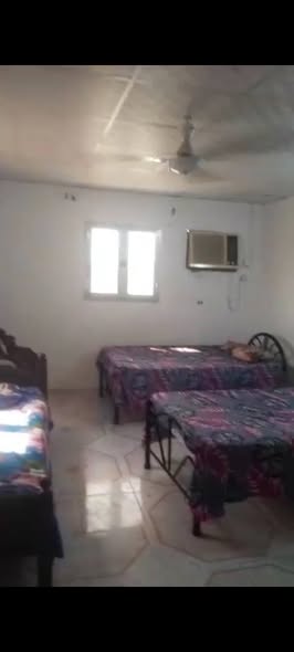 شقة للإيجار - بورتسودان - سلبونا — 2