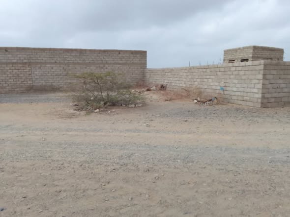 أرض للبيع - بورتسودان - شقر — 2