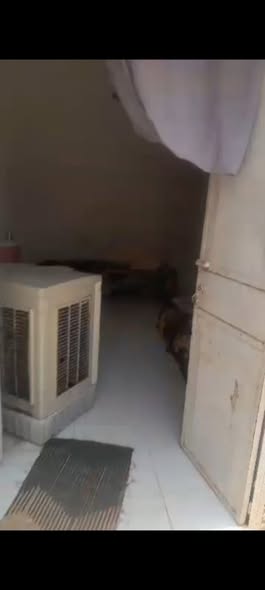 بيت للبيع - مدني - حنتوب — 4