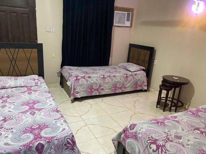 شقة للإيجار - بورتسودان - الترانسيت