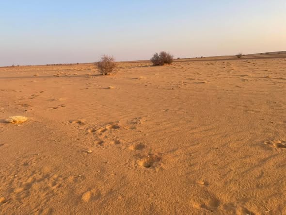 أرض للبيع — 2