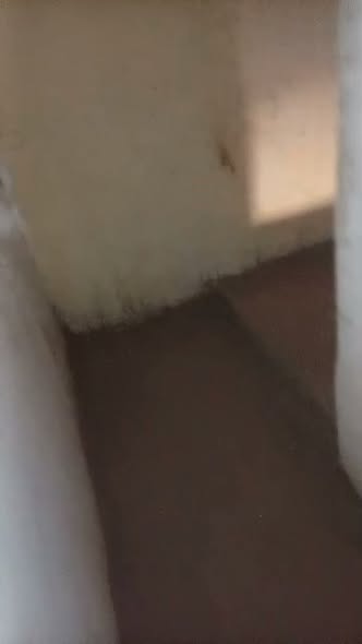 غرفة للإيجار - عطبرة - السوق