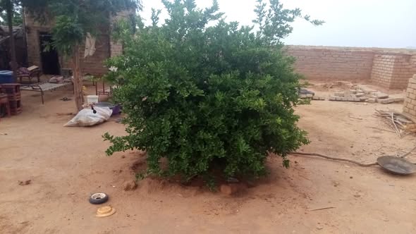 بيت للبيع - الأبيض - طيبة — 5