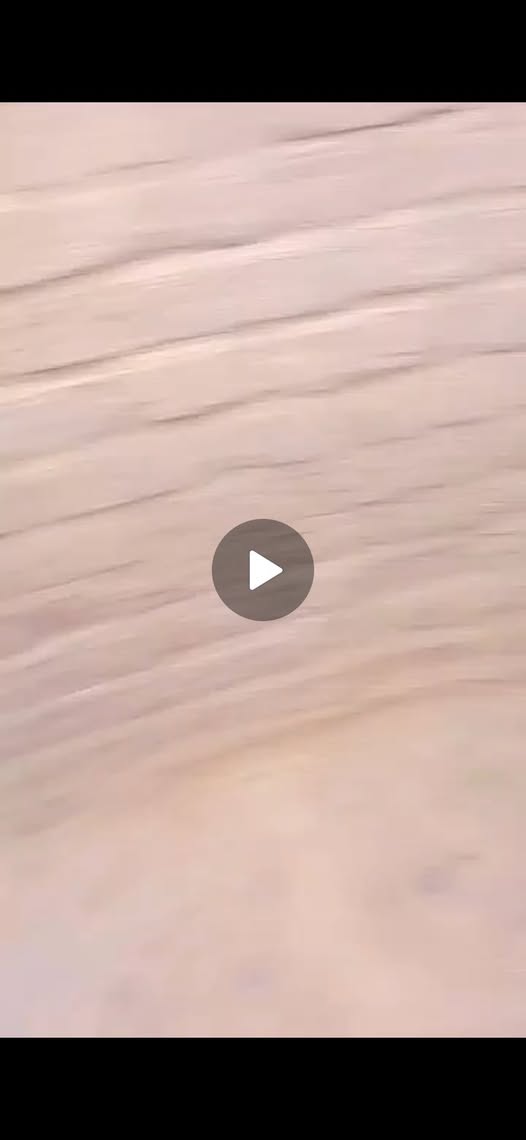 بيت للإيجار - الأبيض - الوحدة