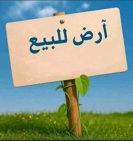 Land for sale