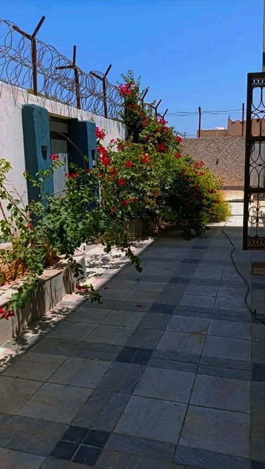 بيت للإيجار - بورتسودان - المطار